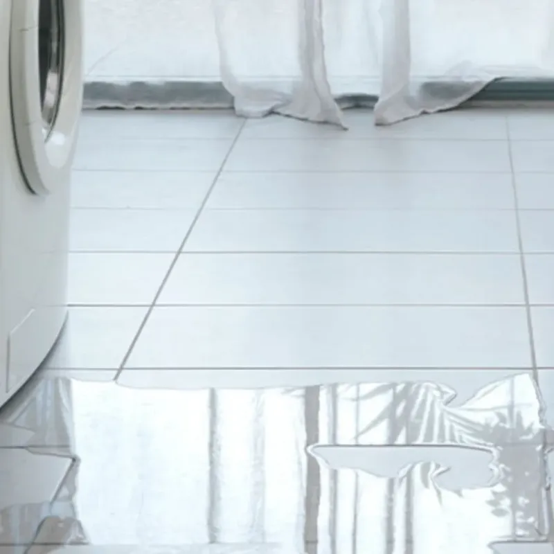 Appliance Leak Cleanup in Mineral Point, WI