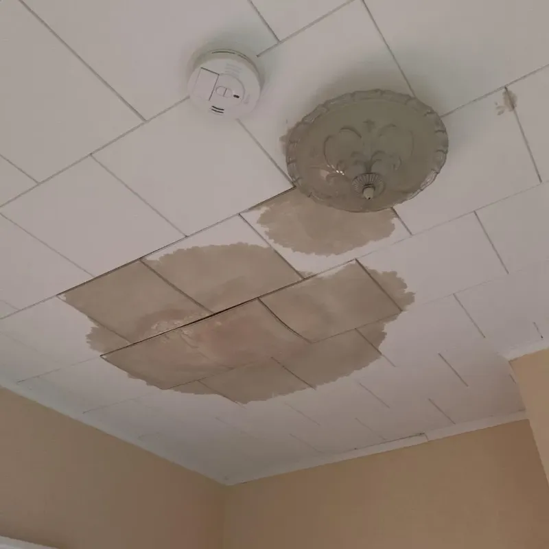 Ceiling Water Damage Repair in Mineral Point, WI