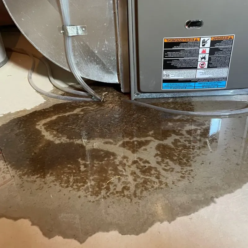 Pipe Burst and Leak Restoration in Mineral Point, WI